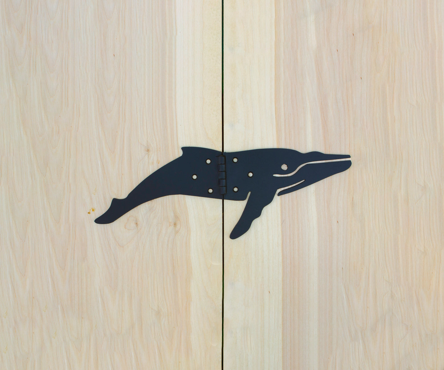 Humpback Whale Hinge